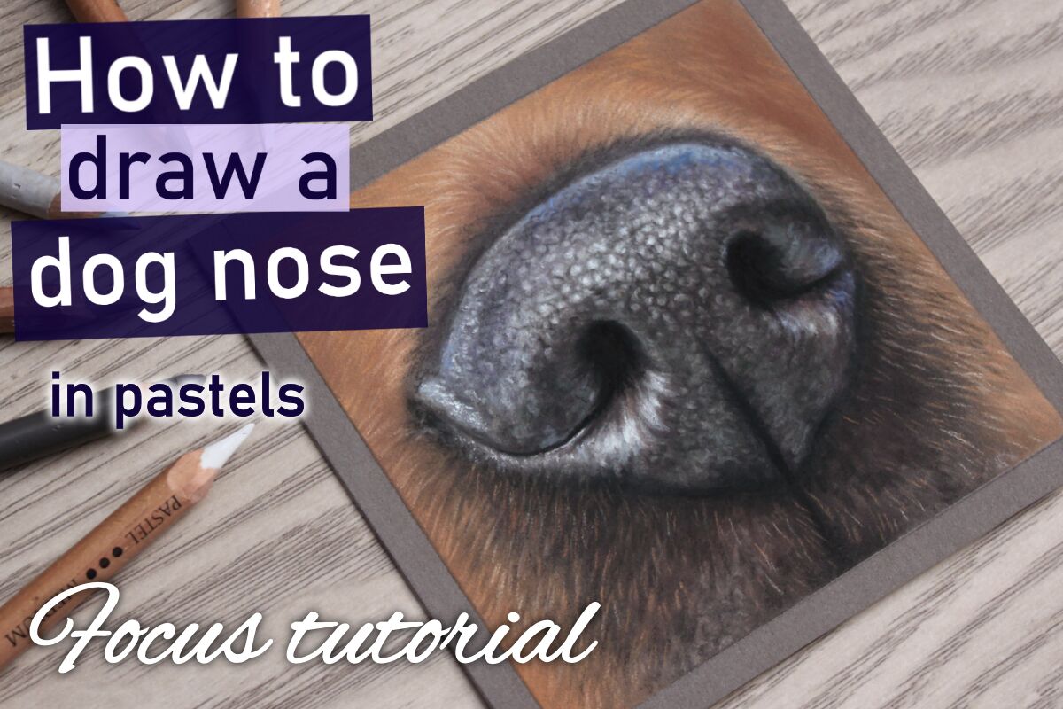 How to draw a dog nose