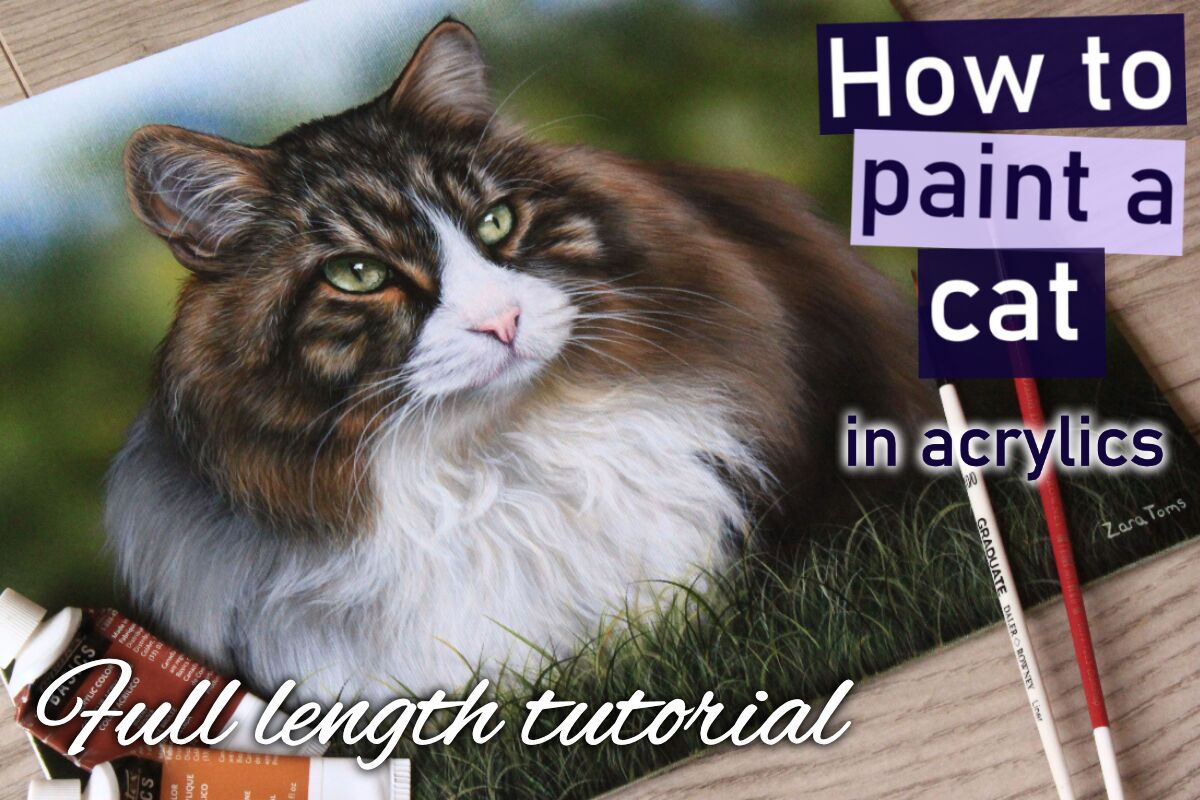 How to paint a cat