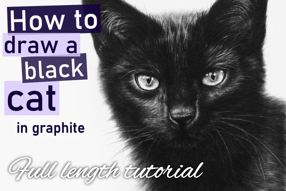 How to draw a black cat