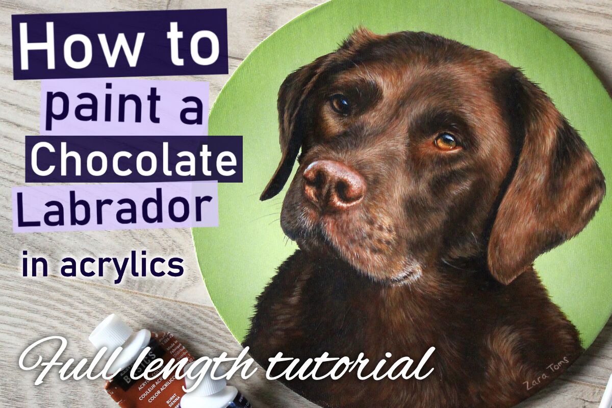 How to paint a Chocolate Labrador