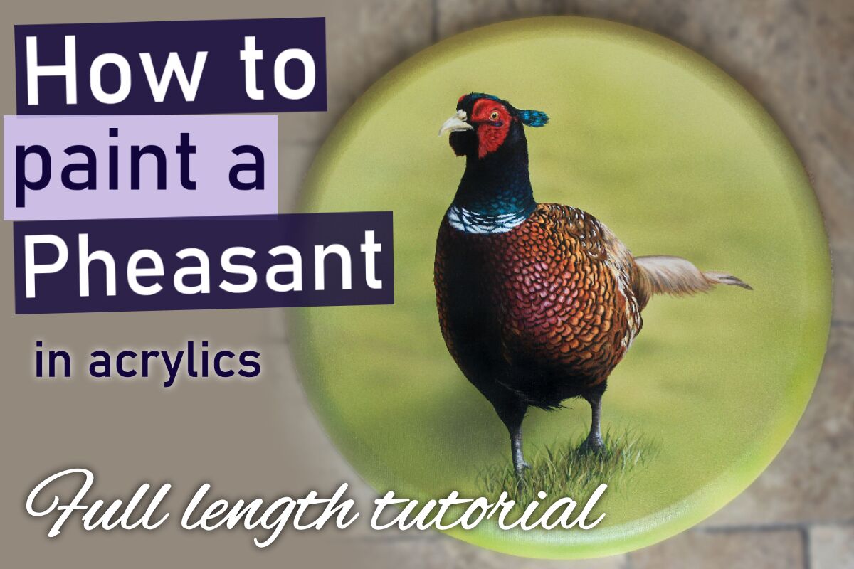 How to paint a Pheasant