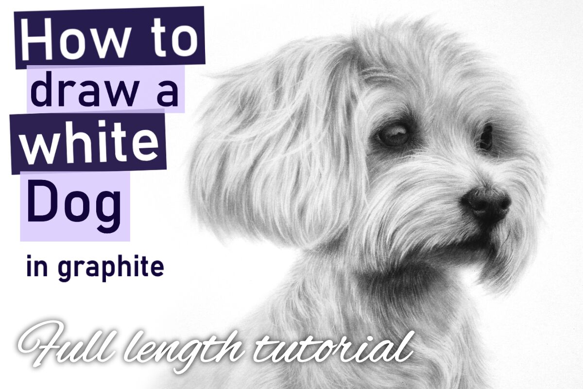 How to draw a white Dog on white paper