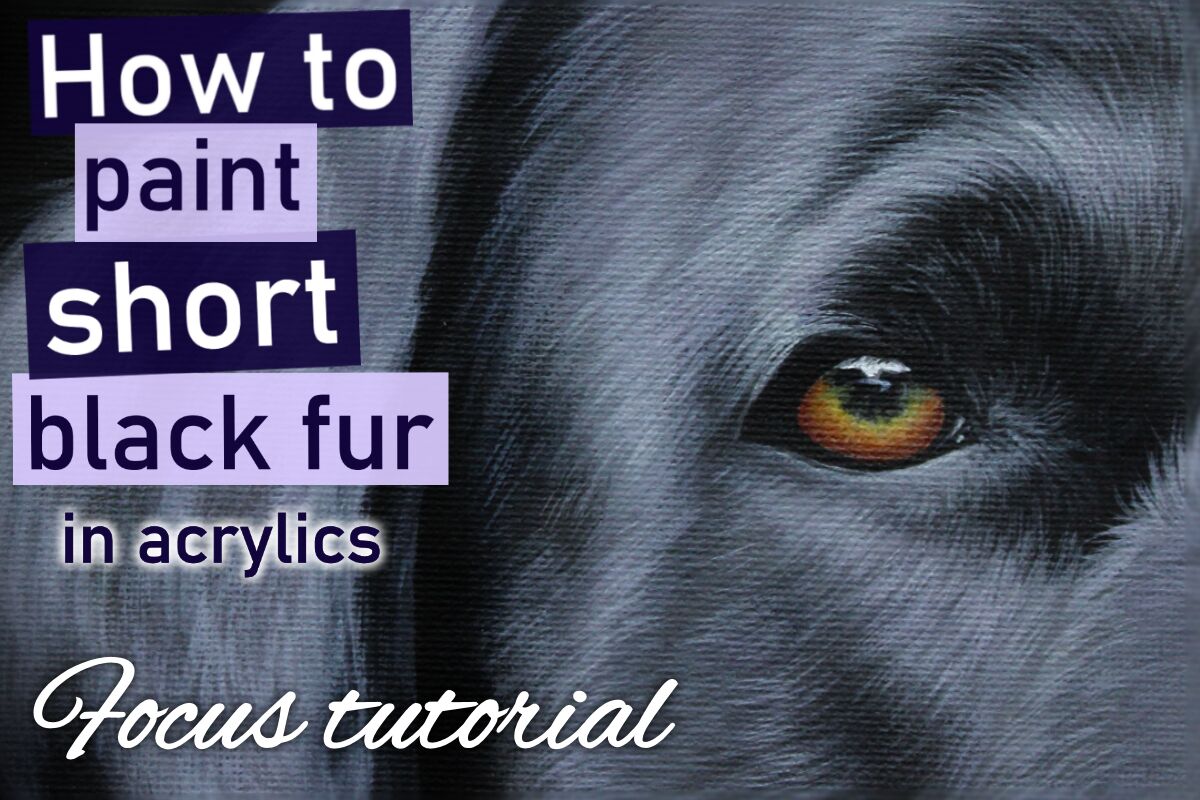 How to paint short, black fur