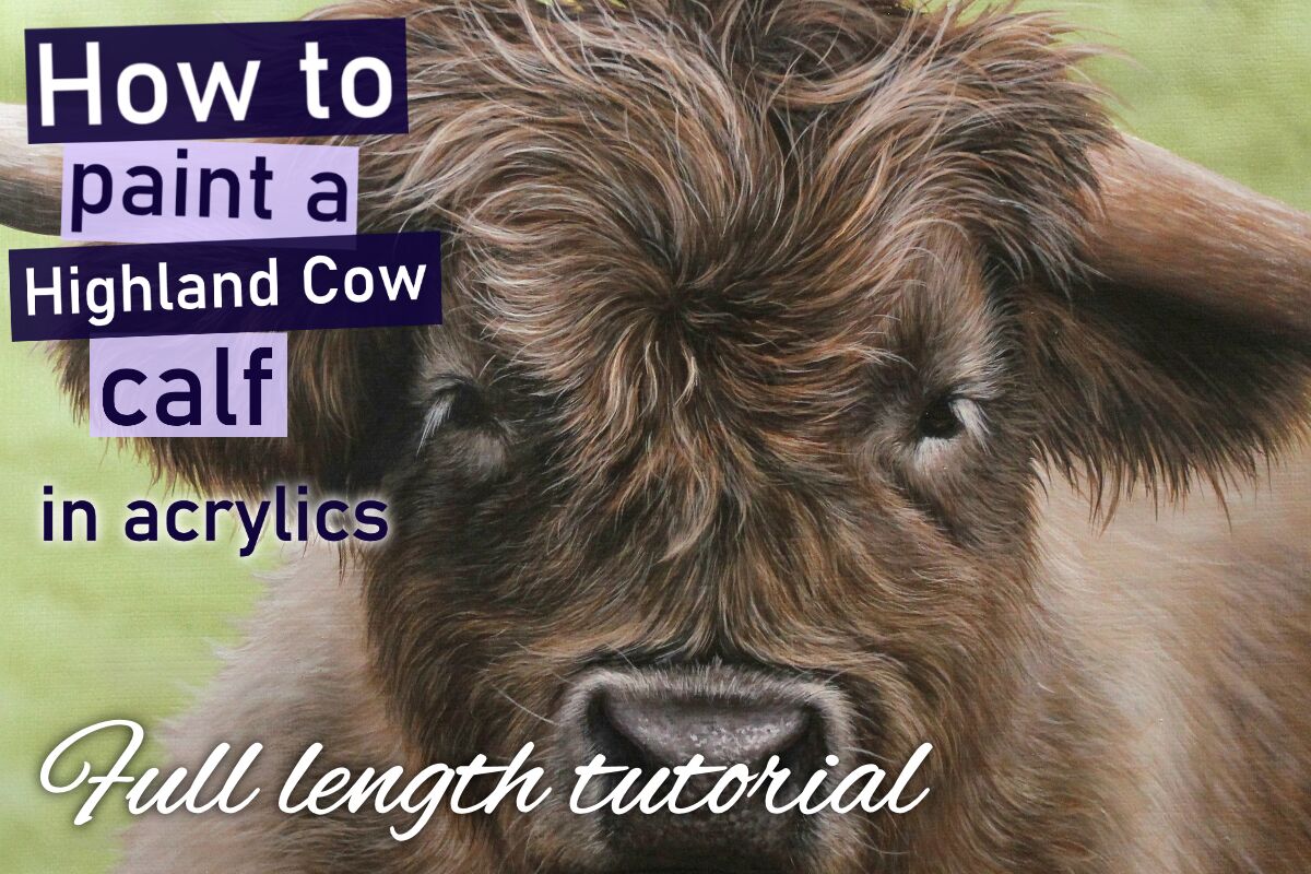 How to paint a Highland Cow