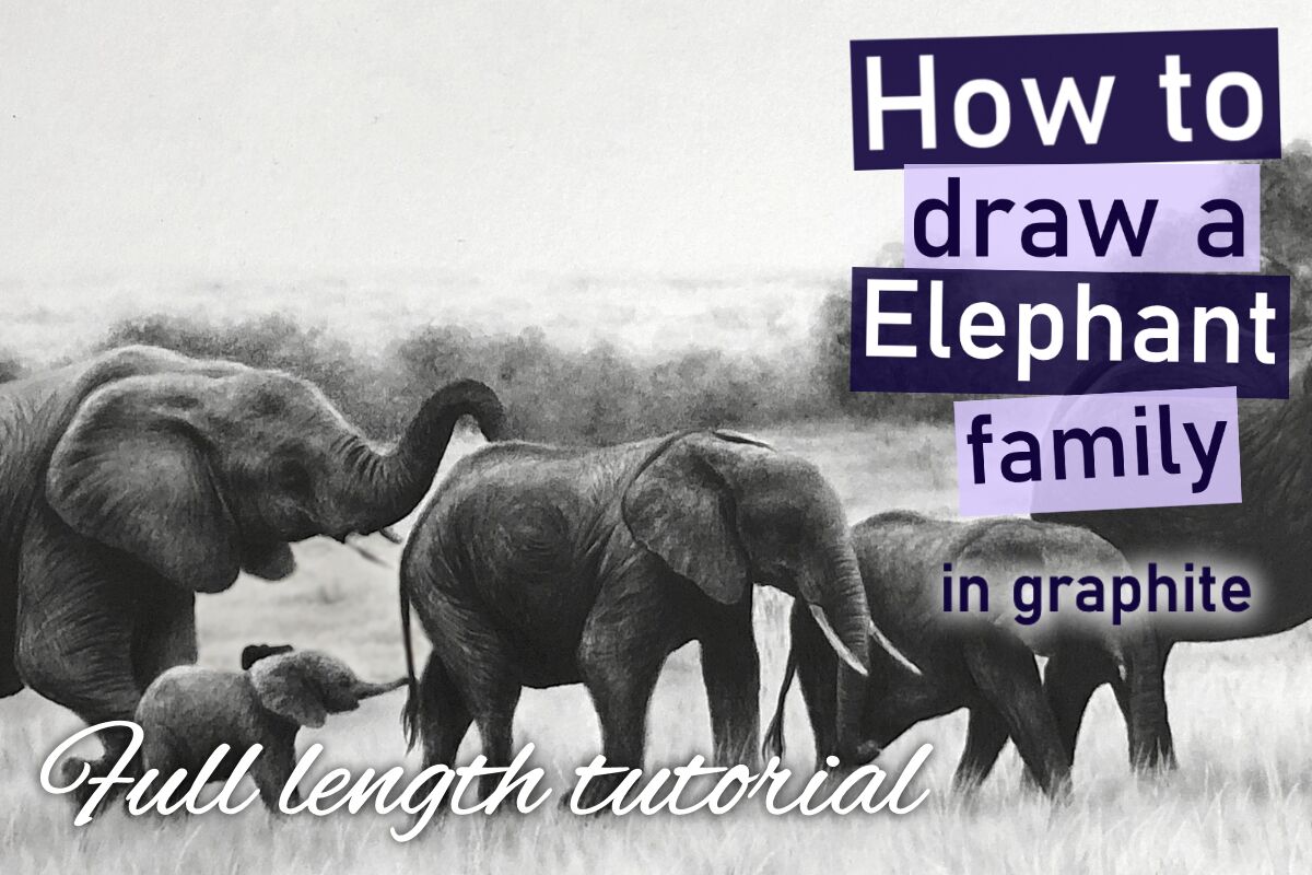 Elephant family in graphite