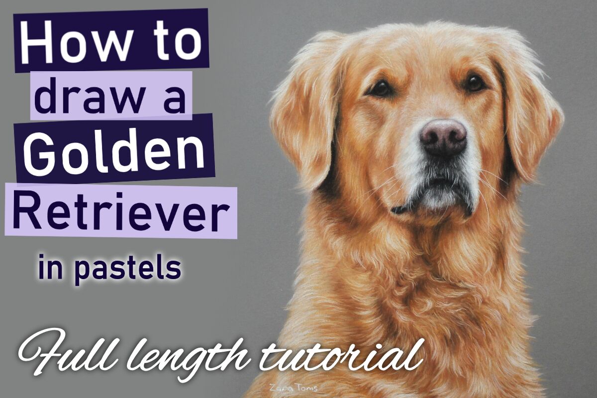 Golden Retriever in pastels