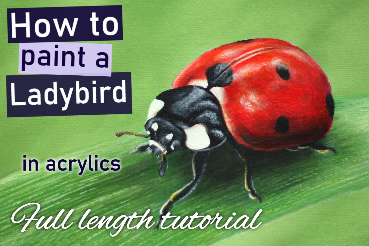 Ladybird in acrylics