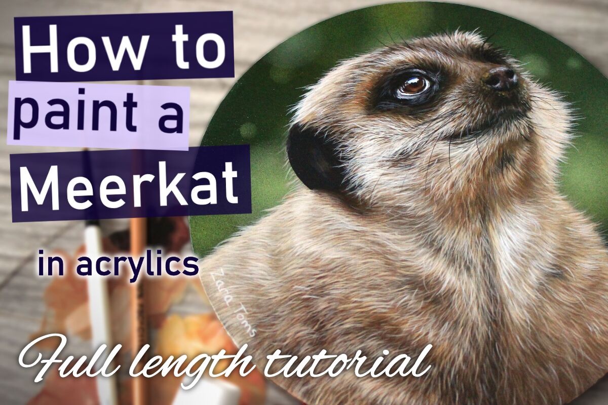 How to paint a Meerkat