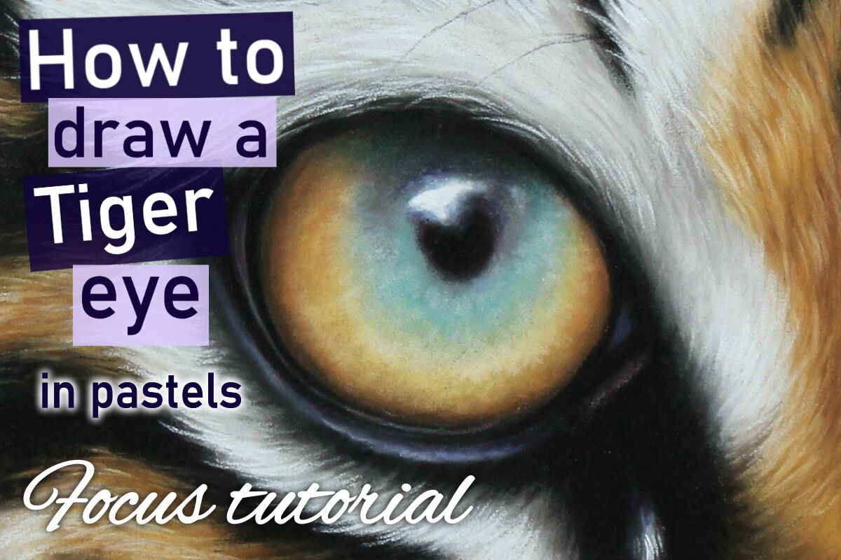 How to draw a Tiger eye