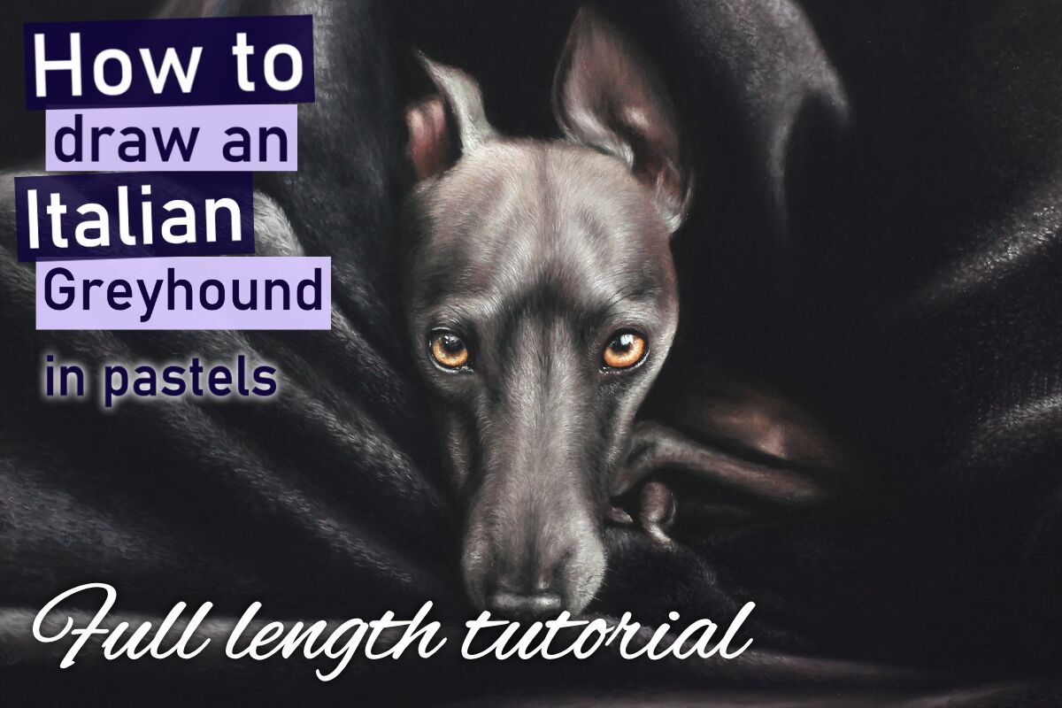 Italian Greyhound in pastels