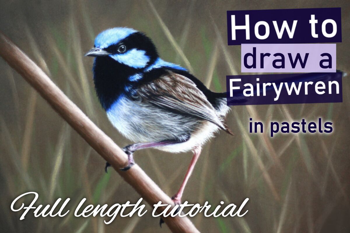 Fairywren in pastels