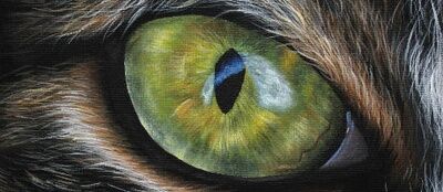 AcrylicTier 1