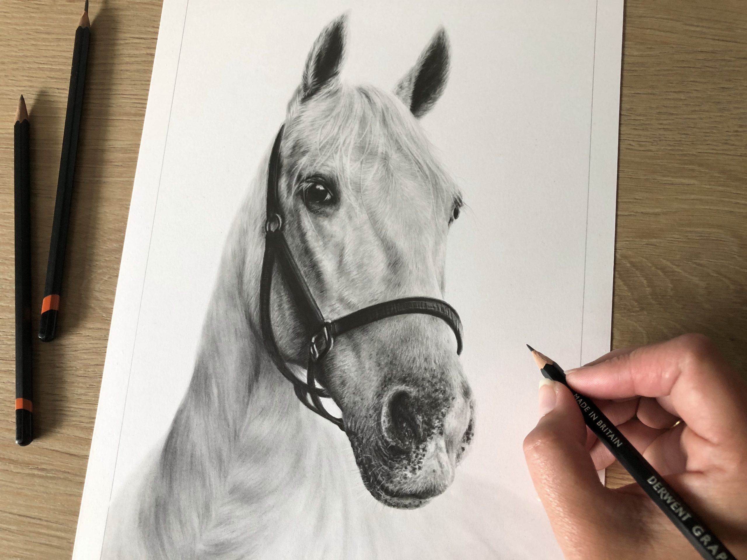 HORSE 2