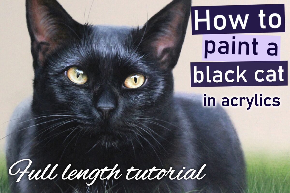 How to paint a black Cat
