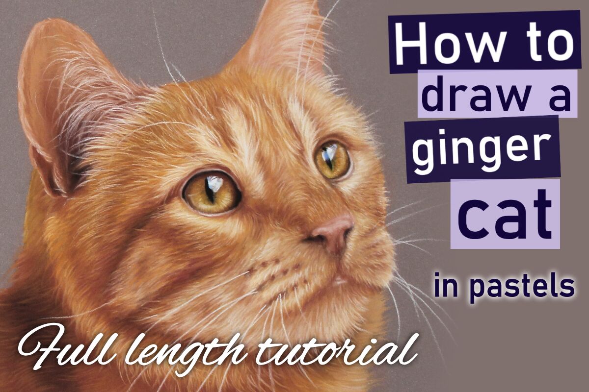 How to draw a Ginger cat