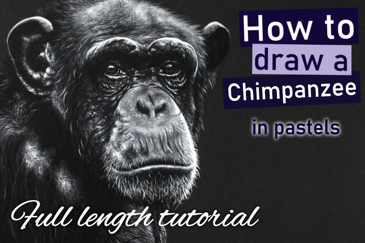 How to draw a Chimpanzee – greyscale