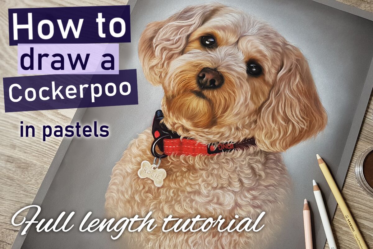 How to draw a Cockerpoo