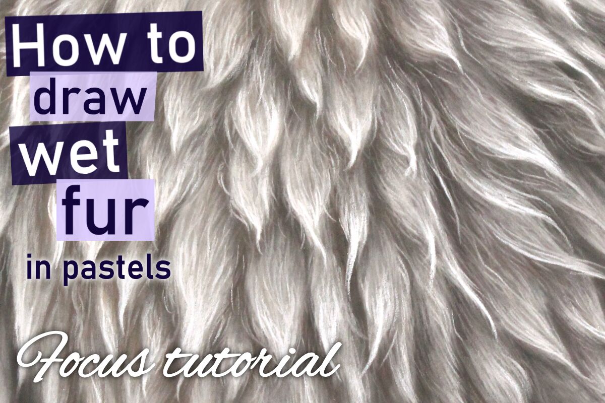 How to draw wet fur