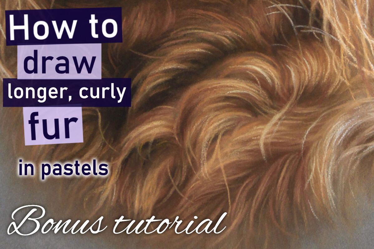 Longer, curly fur in pastels