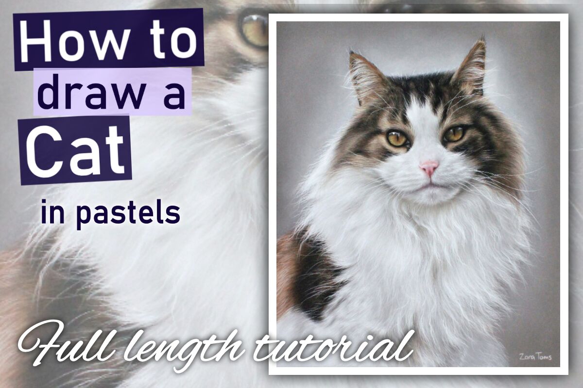 Long haired tabby cat in pastels