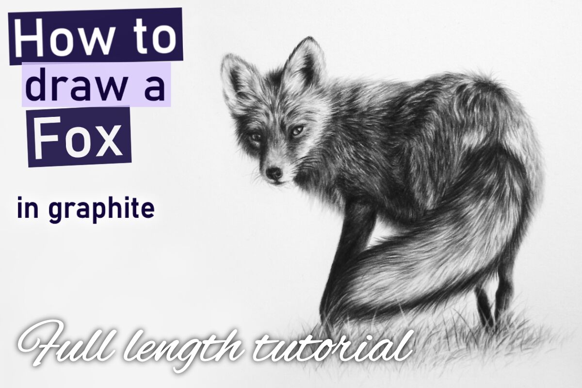 Fox in graphite