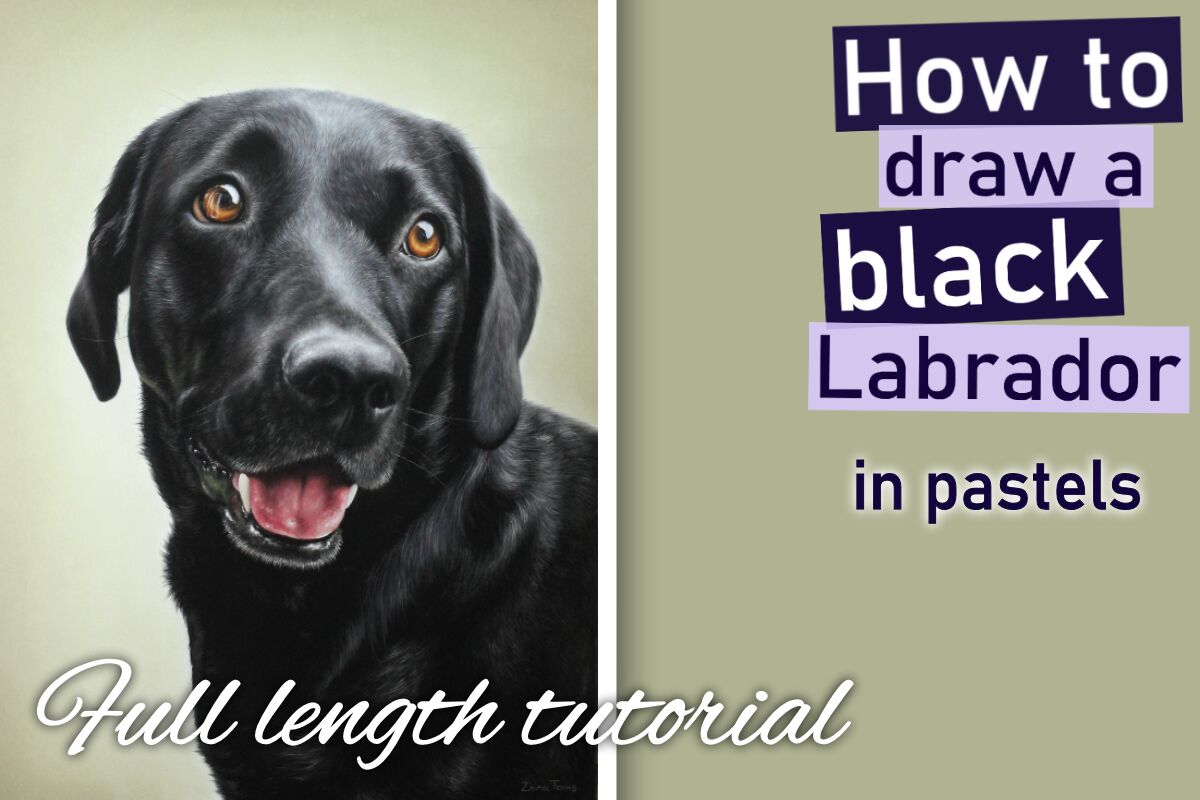 Black Labrador in pastels