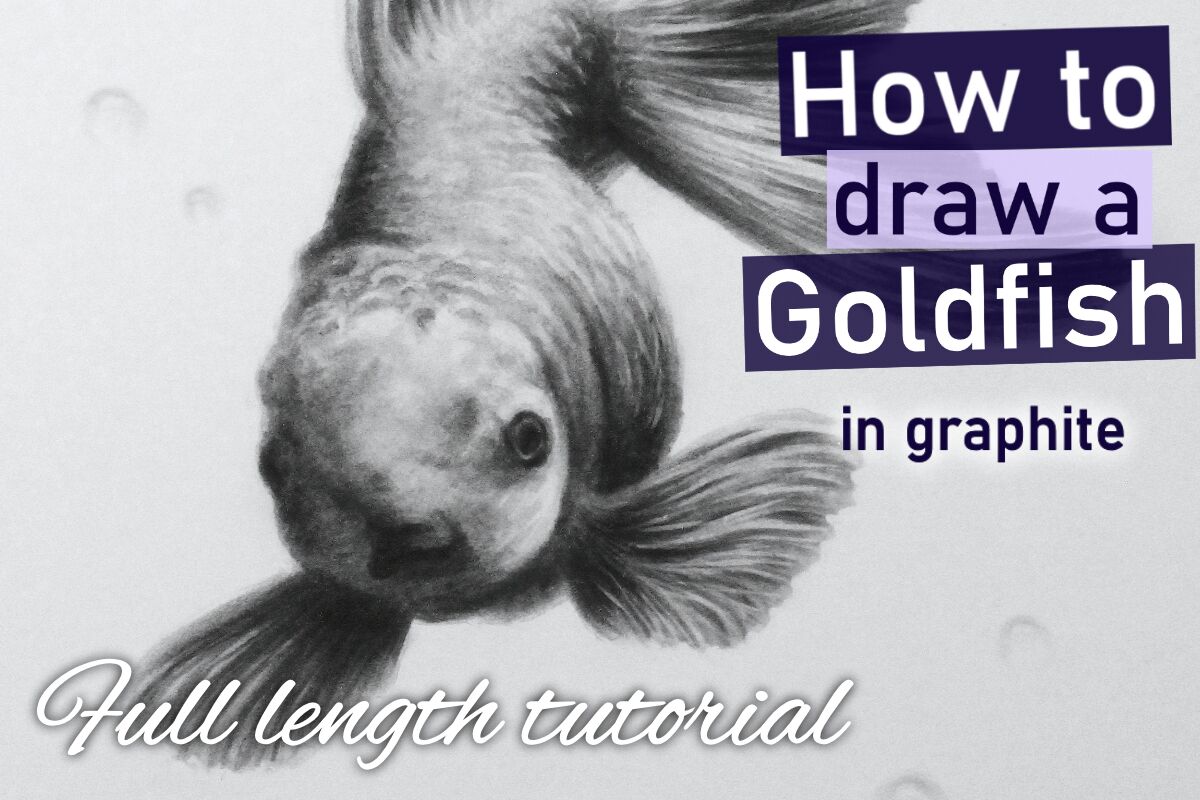 Goldfish in graphite
