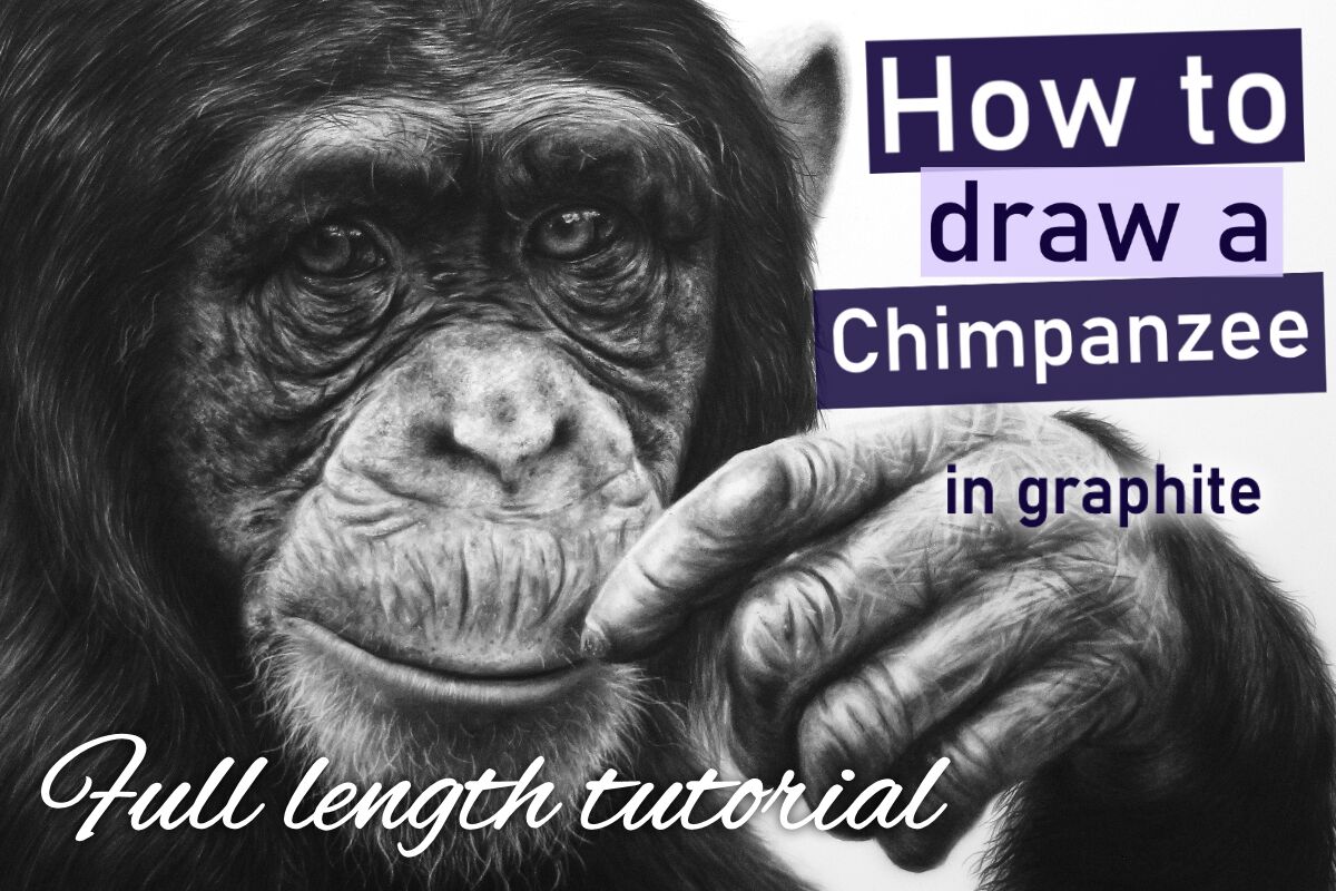 Chimpanzee in graphite