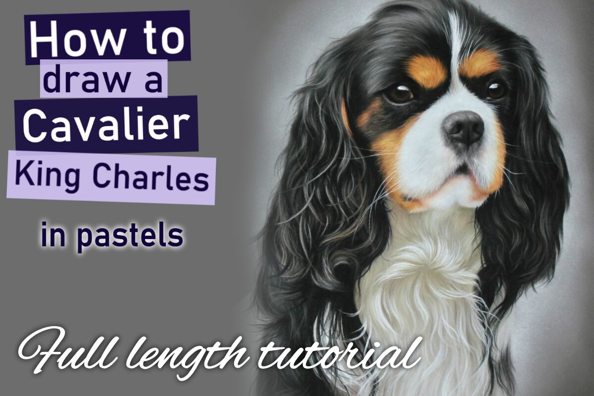 The left eye, ear & surrounding fur